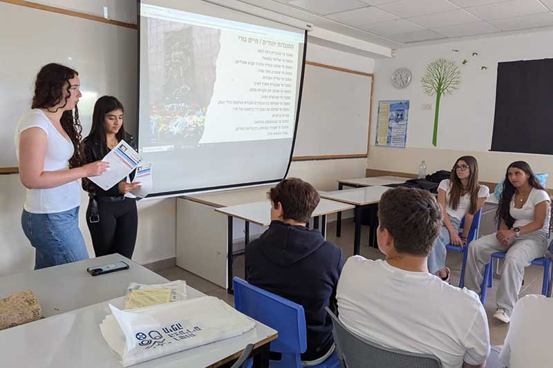 עמיתים דמוקרטיה